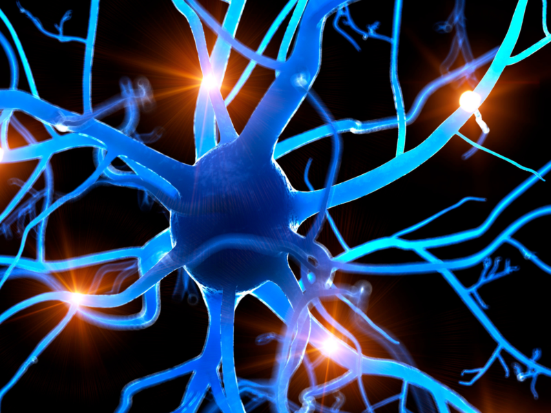 malfunctioning nervous system