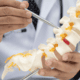 Discseel® Procedure
